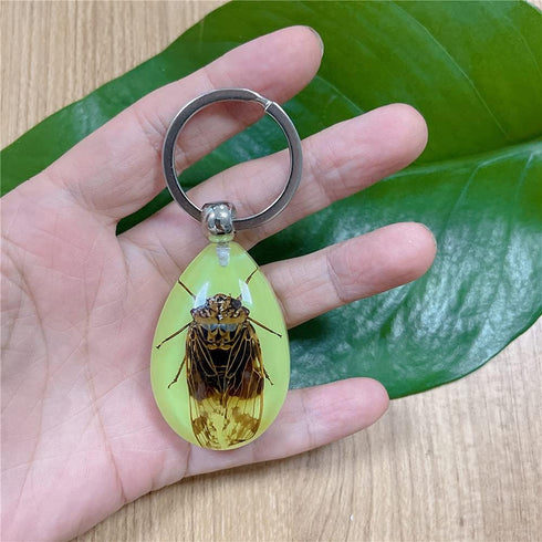 6 Pack Insect in Resin Specimen Collection, Luminous Glow in The Dark Keychain for Education