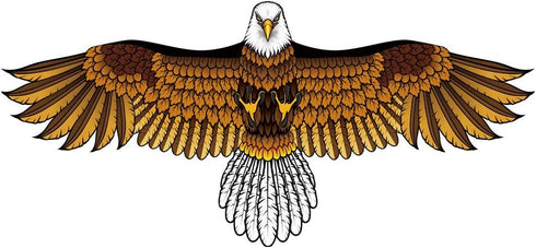 Huge Bald Eagle Kite for Adults & Kids, Easy to Fly Single Line Kite for Beach Trips