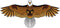 Huge Bald Eagle Kite for Adults & Kids, Easy to Fly Single Line Kite for Beach Trips