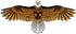 Huge Bald Eagle Kite for Adults & Kids, Easy to Fly Single Line Kite for Beach Trips
