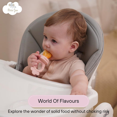 Set 3 4+ Baby Fruit Feeder BPA-Free Silicone Fresh Food Feeder with Replacement Teats, Teething Feeder for Fruits