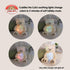 14 inches Cuddle Barn - Nite Brite Pals Cuddles the Cub | Large Glowing Musical Extra Soft Teddy Bear, LED Nightlight