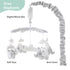 12 The Peanutshell Crib Mobile for Girls or Boys - Soft Grey Musical Baby Crib Mobile with Lullabies, Cute Elephant