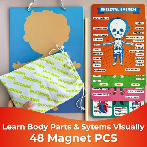 3-5 QUOKKA Magnetic Puzzles for Kids Montessori Puzzles for Toddlers Preschool Game Learning Human Body Parts Anatomy