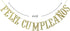 Feliz Cumpleaños Gold Glitter Banner - Happy Birthday Fiesta Theme Party Decorations