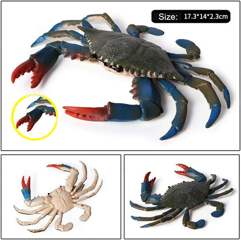 Realistic Crab Marine Animal Model Toys, 2 Pcs Simulated Sea Life Animals Figurine Collection for Science Educational