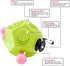 Fidgets Toy, 12 Sided Cube Toys, Autism Relief Stress Cube Toy, Sensory Toy for Children and Adults (Green / A3)