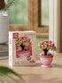 Jollcnoia Set Peach Retreat Mini Bonsai Tree Micro Building Building Toy Plant Cherry Tree Flower Collection Decor
