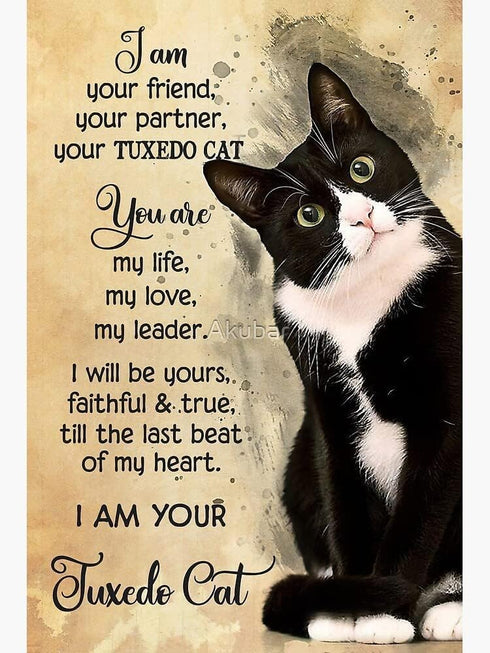 Animal Jigsaw Puzzle - I Am Your Friend Tuxedo Cat 500 Pieces Wooden Puzzles for Adults and Kids, DIY Educational Game
