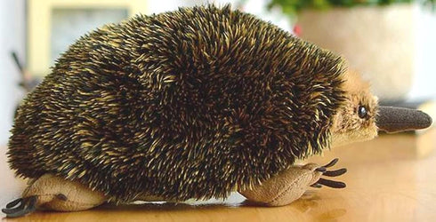 Lifelike Echidna Plush Stuffed Animal Toy, Echidna Animal Model (20CM)