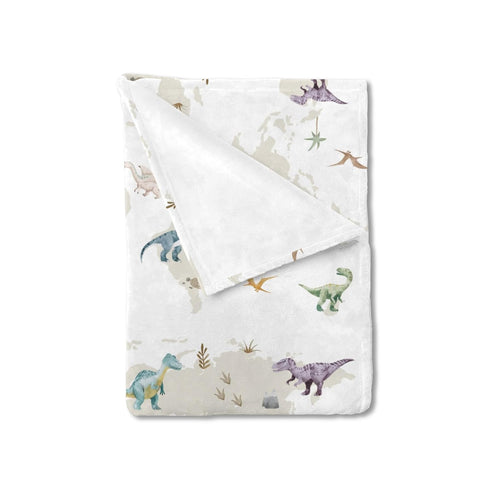 Colorful Dinosaurs Map Baby Blanket, Cartoon Dinosaur Swaddle Blanket for Boy Girl, 30x40 Flannel Throw