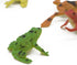 Kvvdi 12 Pcs 1.4 Inch Small Colorful Plastic Poison Dart Frogs, Rainforest Animals Frog Toys