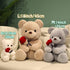 Teddy Bear Plush Stuffed Animal with Rose, Cute Gift for Loved Ones, Girlfriend, Kids Birthday, Valentine