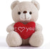 I Love You Teddy Bear for Girlfriend, Cute Stuffed Animals Plush Toys, 12 Inch Brown Bear for Mother's Day
