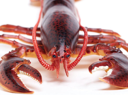 8" 3+ Safari Ltd. Maine Lobster Figurine - Realistic Crustacean Figure - Educational Toy for Boys, Girls, and Kids Ages