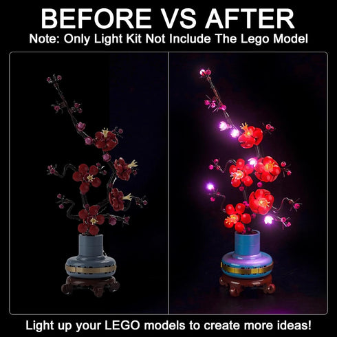 Upgraded LED Light Kit Compatible with Lego Icons Plum Blossom Building Set, Lights Decoration for Lego 10369