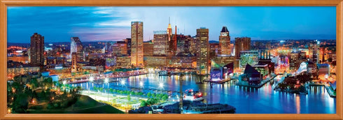 MasterPieces 1000 Piece Jigsaw Puzzle for Adults, Baltimore Panoramic, 13"x39"