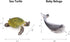 8pcs Playset UANDME Sea Animal Figures Realistic Ocean Animal Figurines Toy for Kids Cake Toppers Decoration