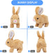 Bunny Stuffed Animal Plush, Interactive Electronic Pet Hopping Bunny Toy, Realistic Stuffed Easter Bunny Rabbit