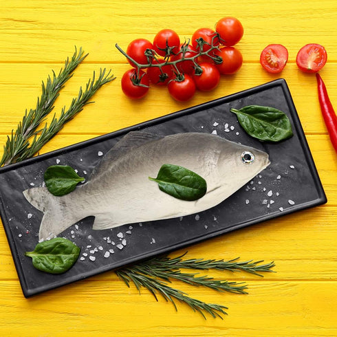 BigOtters 4PCS Fake Fish, Realistic Artificial Sea Fish Playset Model Food Display for Kids Kitchen Decor