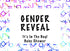 It's in The Bag! - Newest Baby Shower Game for Parties! 4-20 Players! Laugh Out Loud with Teamwork, Guess & Charades!