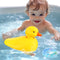 SOCBTNSO Duck Bathtub & Pool Toys - Realistic Walking Duck | Waterproof