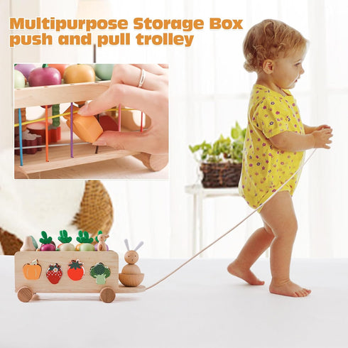 OESSUF Montessori Toys Toddlers Wooden Educational Toys for Baby Boys Girls, Shape Sorting & Matching Fine Motor Skills