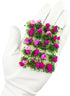 20Pcs Miniature Flower Cluster Grass Tufts for Mini Dollhouse Fairy Garden Railway Simulated Micro Landscape Model