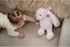 Bearington Bun Bun Plush Easter Bunny, 14 Inch Pink Stuffed Animal, for Ages 1-14
