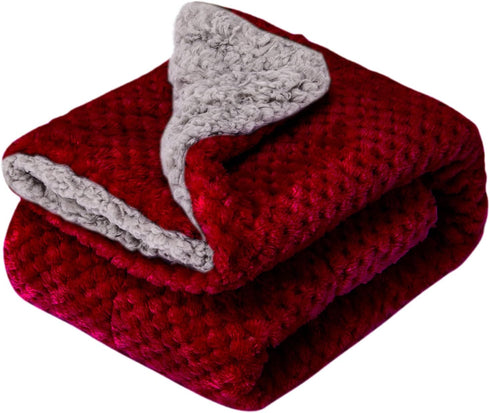 Fuzzy Blanket or Fluffy Blanket for Baby Girl or boy, Soft Warm Cozy Coral Fleece Toddler, Infant or Newborn Receiving Blanket for Crib, Stroller, Travel, Outdoor (32" x 40", DG-Coral Red) by WONDER MIRACLE