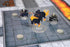 1985 Games Minis Undead Pack, Compatible with DND, RPG, Tabletop Games, Roleplaying Figures for Mini Gaming Action