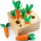 Montessori Toys for 1 Year Old, Wooden Developmental Shape Sorting & Matching Puzzle Carrots Harvest Game for Toddlers