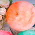 AMOR PRESENT 4PCS Bouncing Ball with Pump, 8.7inch Marbleized Bouncy Balls for Kids Bouncing Sensory Play.