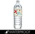 Pirate Treasure Map Birthday Water Bottle Labels, 20 Stickers