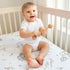 Set 2p Sweet Jojo Designs Jungle Safari Animals Boy Girl Gender Neutral Unisex Baby Fitted Crib Sheet Infant Newborn