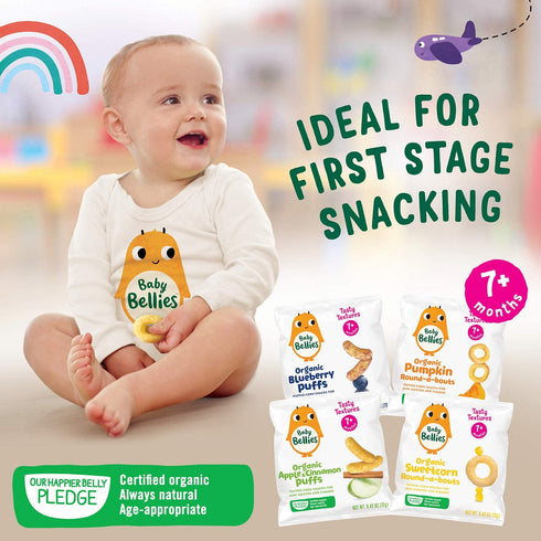 Little Bellies Organic Strawberry Pick-Me Sticks Baby Snack - Pack of 5 x 0.56 oz Individual Packs