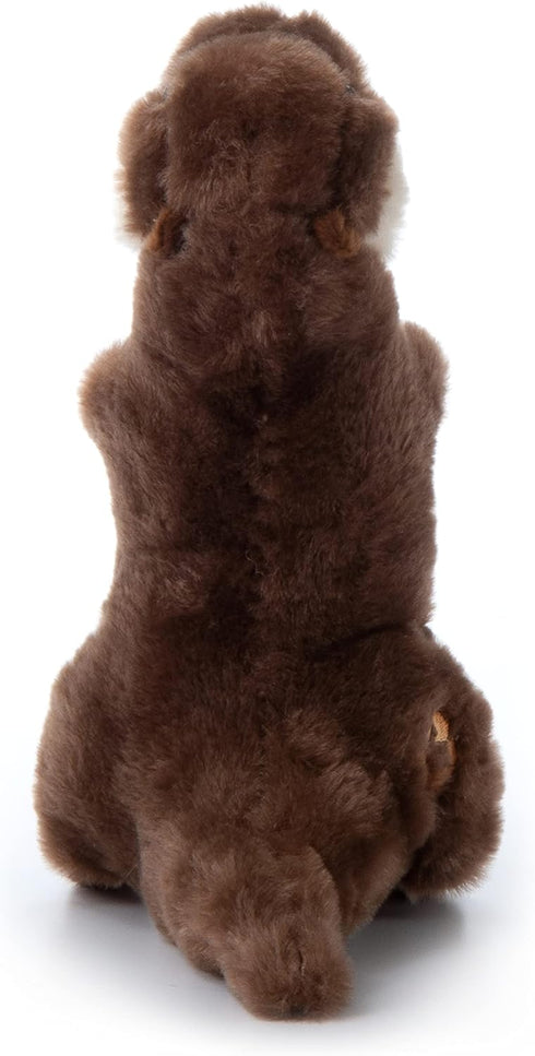 10 inches The Petting Zoo River Otter Stuffed Animal Standing, Gifts for Kids, Wild Onez Zoo Animals, River Otter Plush