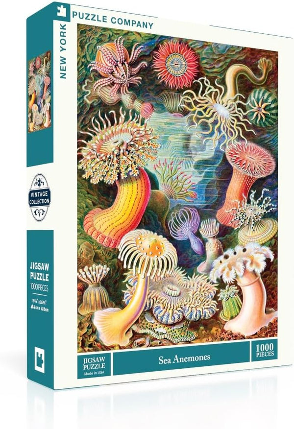 New York Puzzle Company - Vintage Images Sea Anemones - 1000 Piece