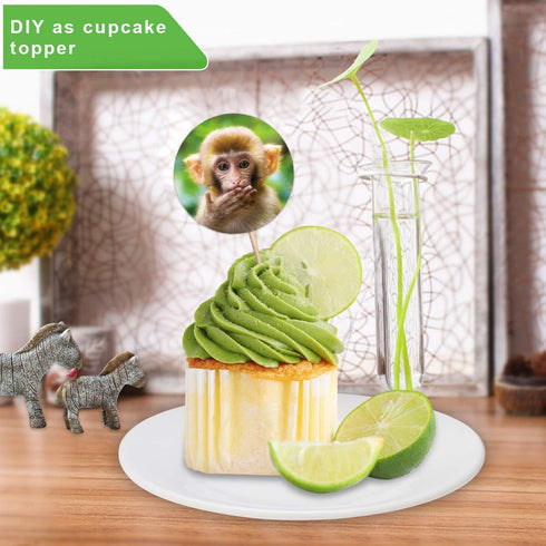 Animal Stickers for Kids, Realistic Jungle Animal Safari Zoo Labels for Toddlers Party Favors, 200Pcs Per Roll