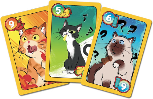 Sweet & Spicy Card Game - The New Accessible Version of Spicy, Bluff Game for 2 to 6 Players, Age 8+, 15 Min