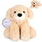 SuzziPals Heatable & Coolable Golden Retriever Stuffed Animal, Heating Pad Microwavable for