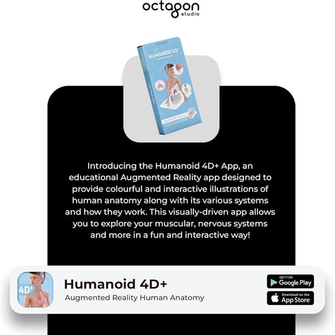 Humanoid 4D+ Augmented Reality Human Anatomy Model - Interactive STEM Tool with Free App