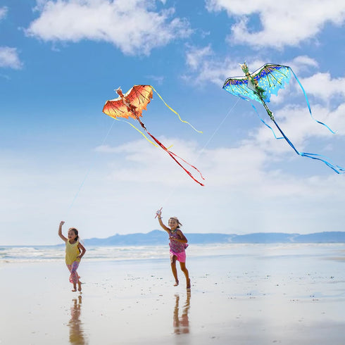 Mint's Colorful Life Dragon Kite for Kids & Adults, Best Beach Kites for Beginners, Easy to Fly, 300ft Kite String