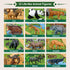 12 57x38.6 Playset Mini Tudou Pcs Safari Animals Figures Toys w/ Large Activity Play Mat, Realistic Jumbo Jungle Wild