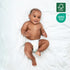 1, 216 Count, (6.6 lbs 13 lbs), Evolur Snuggle Bum Baby Diapers - Size for Newborns - Ulta Absorbent Diapers Newborn