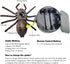 Tipmant Realistic RC Spider Infrared Remote Control Tarantula Animal Vehicle Car Prank Toys Pet Cat Dog Teasing Kid