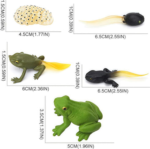 Gemini&Genius Life Cycle of Frog Figurines, Bulk Insect Growth Diary Action Figures, Fun Learning Gifts, Party Favors