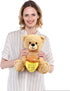 BenBen Valentines Day Teddy Bear, 12 Inch Funny Stuffed Animal Plush Toy with Honey Pot for Her