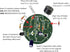 Learn to Solder Blinker Bird - DIY Electronics Project for Students and Adults, STEM Crafts