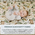 Pobibaby 2 Pack Premium Pack N Play Sheets, Fitted for Standard Pack and Plays, Stylish Woodland Pattern